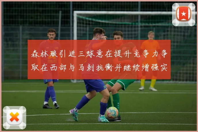 森林狼引进三球意在提升竞争力争取在西部与马刺抗衡并继续增强实力